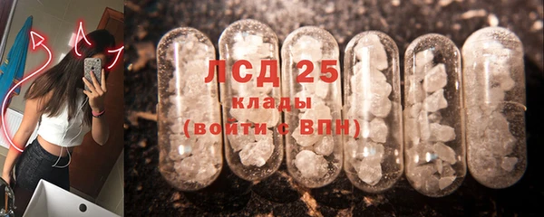 ПСИЛОЦИБИНОВЫЕ ГРИБЫ Лихославль