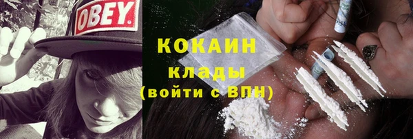 ПСИЛОЦИБИНОВЫЕ ГРИБЫ Лихославль