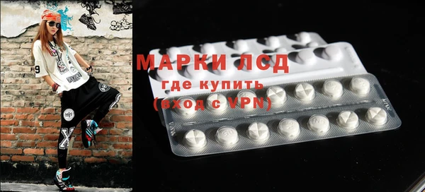 ПСИЛОЦИБИНОВЫЕ ГРИБЫ Лихославль
