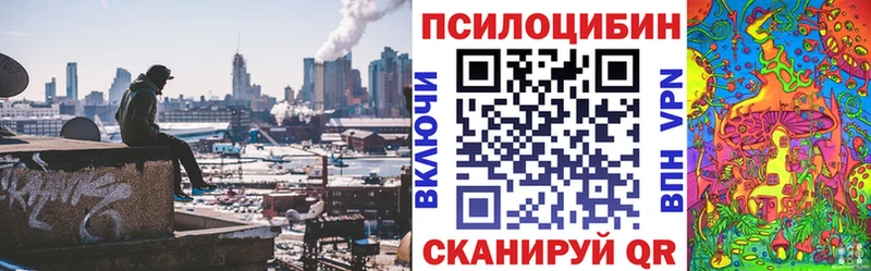 Псилоцибиновые грибы прущие грибы  хочу наркоту  Луза 